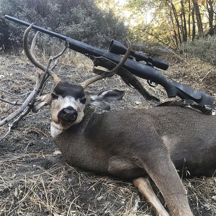 Bagging My First Mule Deer in Angeles National Forest, CA: A Hunter's ...